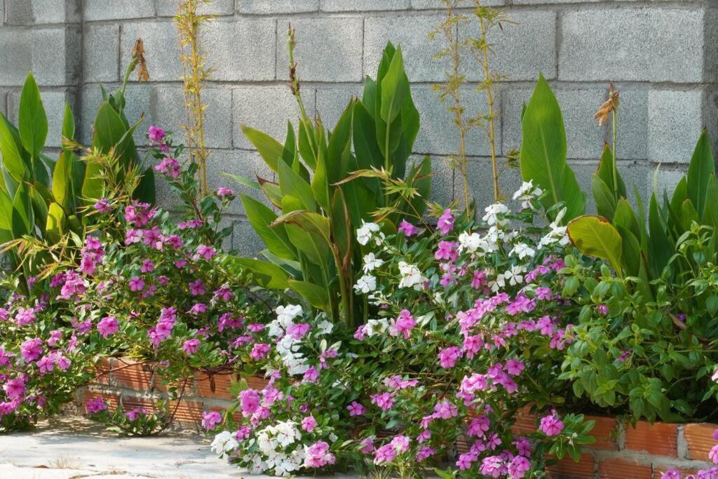 Fisherman Village Boutique Villas - Beachfront Ham Tan ภายนอก รูปภาพ